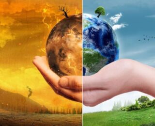 İklim dengesizliği kuraklıkla bir arada ‘ekolojiyi’ de tehdit ediyor